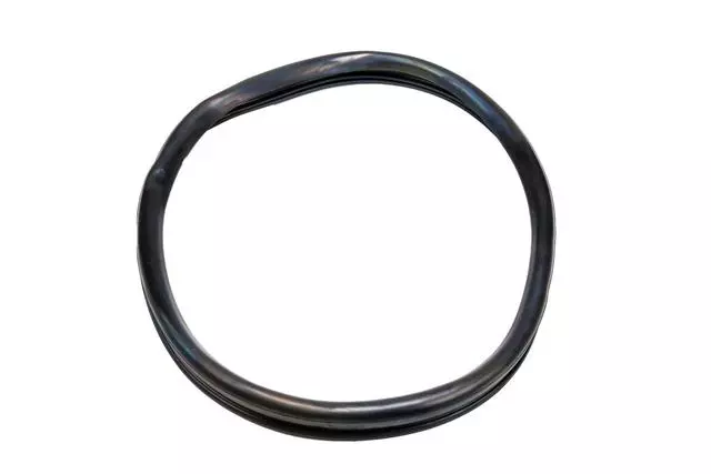 97387085 - : F Guard for GM Image