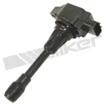 9212168 - : ThunderSpark 921-2168 Ignition Coil for ThunderSpark Image