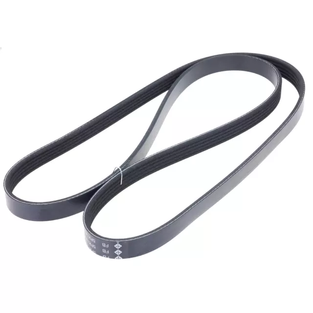 FB5K565 - : INA US Serpentine Belt for INA US Image