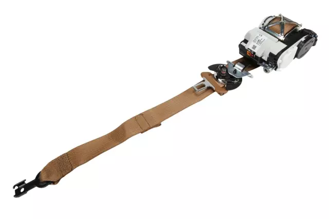 19356007 - Electrical: Outer Belt Assembly for Cadillac: Escalade, Escalade ESV | Chevrolet: Tahoe | GMC: Yukon Image