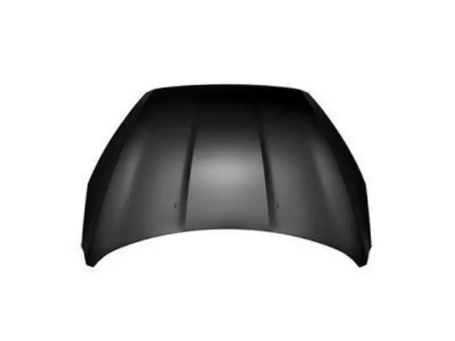 Hood Panel - Ford (F1EZ-16612-A)