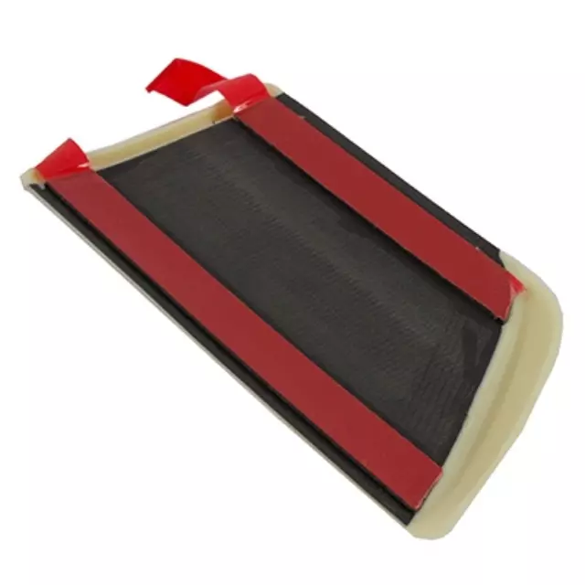 Body Side Molding - Ford (9W3Z-16036-AAPTM)