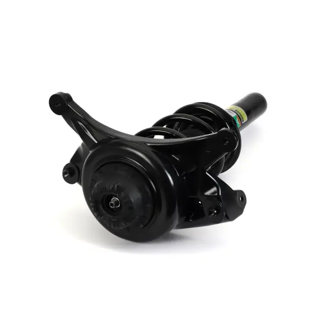 SK3843 - Suspension &amp; Steering: Arnott Suspension Strut and Coil Spring Assembly for Arnott Image