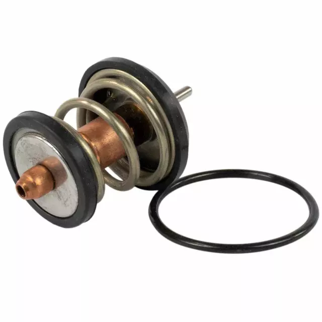 Thermostat Assembly - Ford (QRT-1)