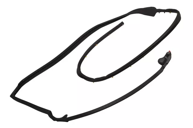 Rear Side Door Upper Auxiliary Weatherstrip - GM (92507952)