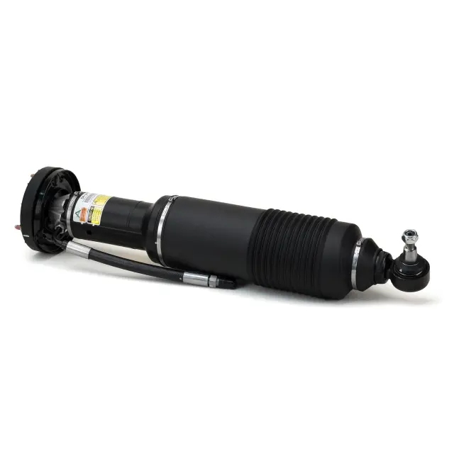 SK2418 - : Arnott Suspension Strut for Arnott Image