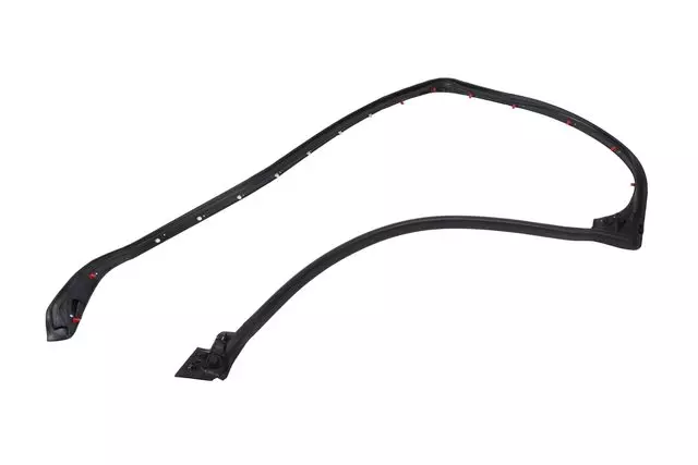 Driver Side Rear Door Lower Auxiliary Weatherstrip - GM (23267366)