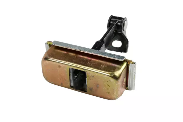 Front Door Check Assembly - GM (15173407)