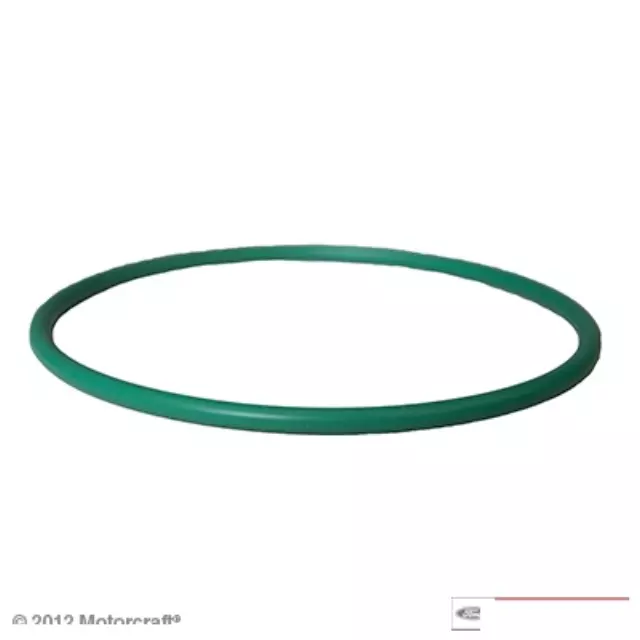 Motorcraft™ Fuel Pump Tank Seal - Ford (CG-807)