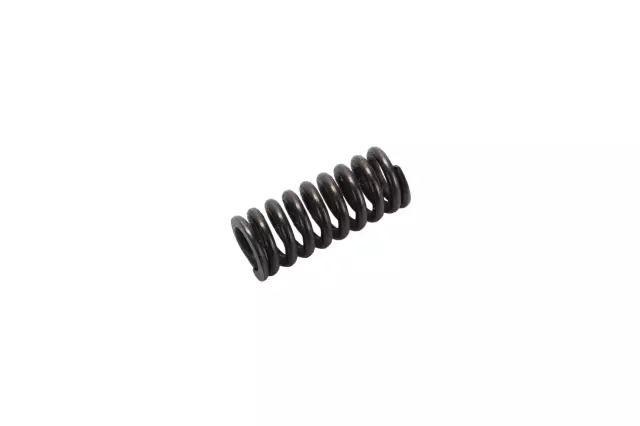 Manual Transmission Synchro Spring - GM (14082096)
