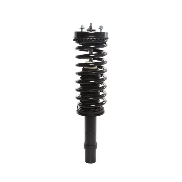 816349 - : PRT 816349 Suspension Strut and Coil Spring Assembly for PRT PERFORMANCE RIDE Image