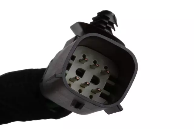 Rear License Plate Lamp Wiring Harness - GM (84396901)