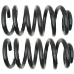 81244 - : Front Coil Spring Set for Moog Image