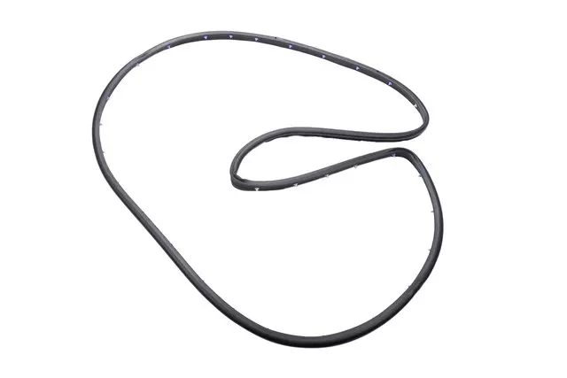 Door Weather-Strip - GM (84228141)