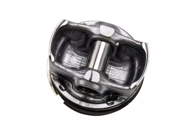 28289827 - : F (S)Piston for GM Image