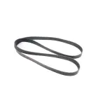 53041138AE - : Accessory Drive Belt for Mopar Image