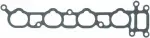 ICR24B - : Engine Intake Manifold Gasket for Enginetech Image