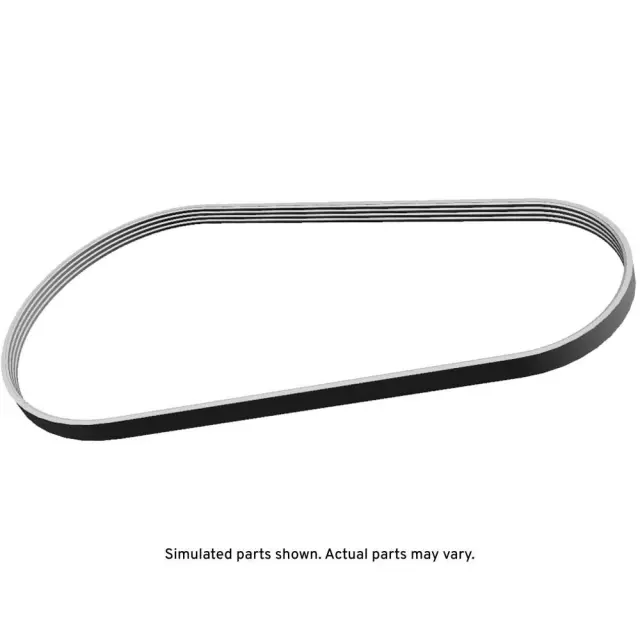 12731925 - : AC Belt for Chevrolet: Corvette Image