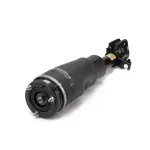 AS2961 - : Arnott Air Suspension Strut for Arnott Image