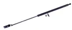 610933 - : Liftgate Lift Support for Tuff Support Image