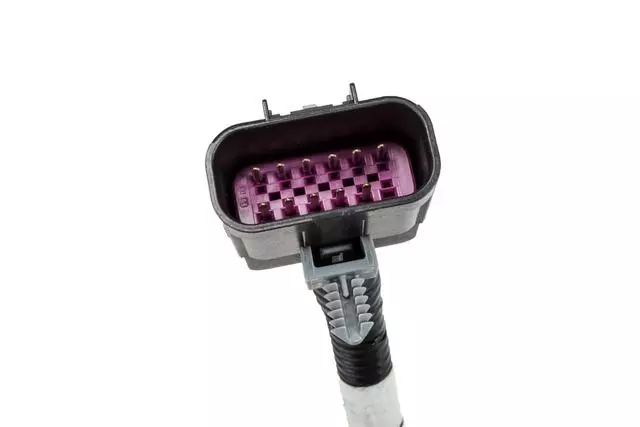 Hybrid Drive Motor Battery Pack Charger - GM (24276662)