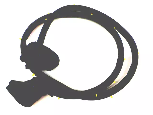 63511AE03A - Body: Door Weather-strip for Subaru: Baja, Legacy, Outback Image