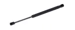 610323 - : Liftgate Lift Support for Tuff Support Image