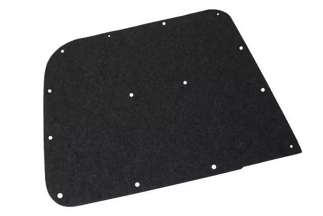 19316930 - Body: Door Trim Panel for Chevrolet: City Express Image