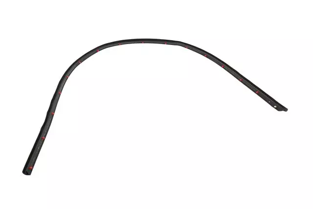 Side Door Lower Auxiliary Weatherstrip - GM (23204898)