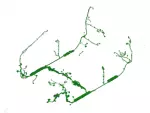 HC3Z14A005FG - : Wiring Assembly for Ford Image