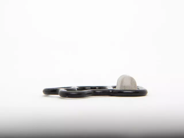 Filter - Honda (15815-RAA-A02)