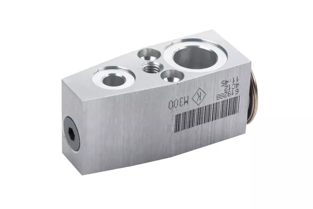 Air Conditioning Thermal Expansion Valve Kit with Tube Seals, Valve Seals, Valve, Plate, Stud, and Bolts - GM (95423626)