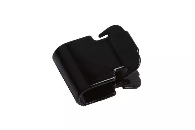 Rear Side Door Molding Retainer - GM (15087668)