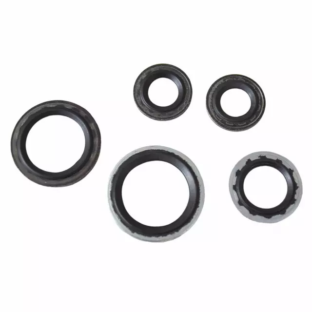 AE5Z19B596A - : Evaporator Tube Seal Kit for Ford: Police Interceptor Utility Image