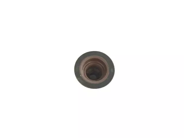 Valve Guide Seal - Mopar (68295813AA)