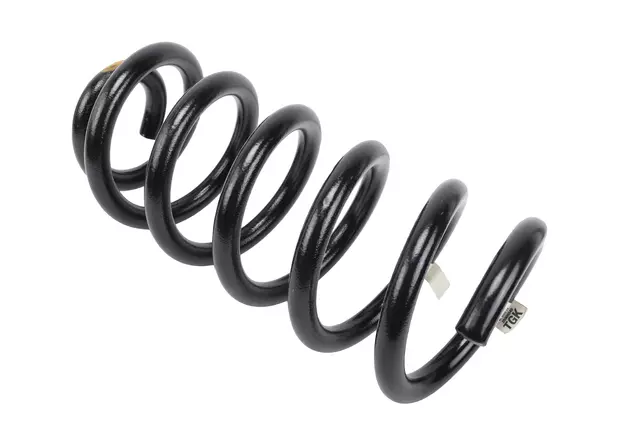 Front Coil Spring - GM (25909349)
