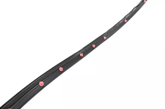 84270782 - Body: Door Weather-strip for GM Image