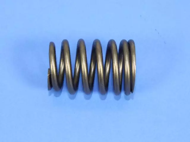 Valve Spring, Intake - Mopar (53021775AC)