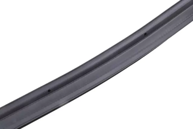 Liftgate Weatherstrip - GM (42343901)