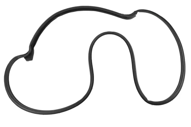 Rear Driver Side Door Weatherstrip - GM (42541954)