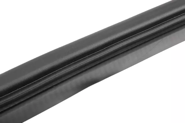 Weatherstrip Asm-Rr S/D Rr Aux - GM (25775642)