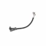 19366703 - : Rear Passenger Side Hydraulic Brake Hose for GM Image