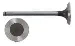 V9151 - : Engine Exhaust Valve for Enginetech Image