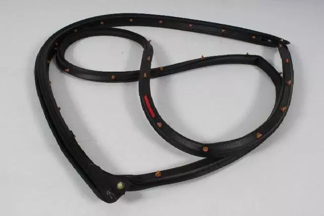 Door Weather-Strip - Mopar (05074513AD)