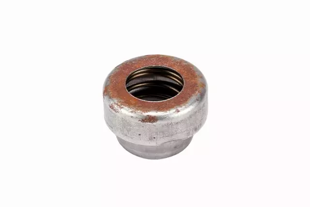 25189855 - : Manual Transmission Shift Shaft Detent Spring for GM Image