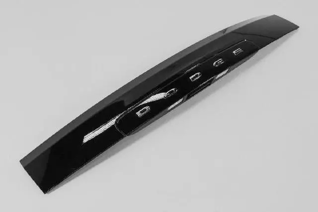 1SL16DX8AE - : Lift-Gate Handle for Dodge: Grand Caravan Image