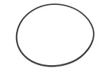 24299855 - Transmission: 1-2-3-4-5-6-Reverse Clutch Piston Seal for ACDelco Image