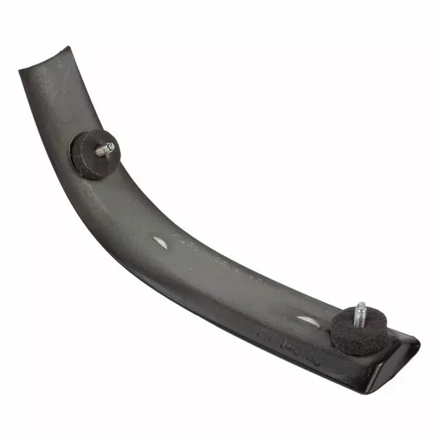 1998-2011 Ford Ranger - Body Side Molding - Ford (XL5Z-1051729-APTM)