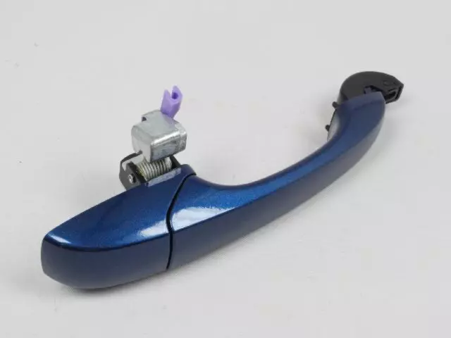 Exterior Door Handle, Right - Mopar (1na54gbsae)