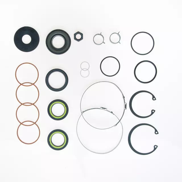 8730 - : RACK PINION SEAL KIT for Edelmann Image